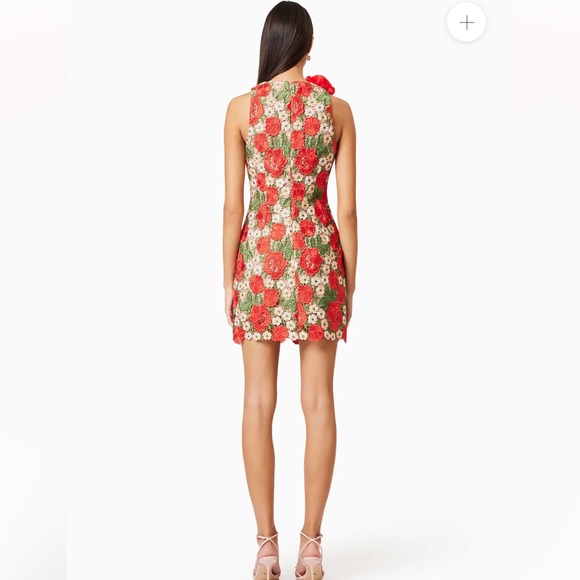 elliatt roselyn red 3d rosette flower lace guipure mini dress size small NEW - Picture 5 of 12